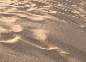 Close-up detail view of sand on sand dunes at the beach