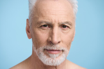 Headshot gray haired bearded senior handsome man, looking at camera, isolated on blue background