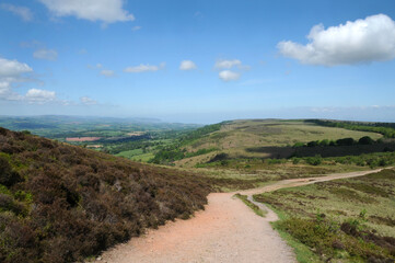 Fototapeta na wymiar A footpath leading away into the distance over the Quantock hills on a sunny spring morning