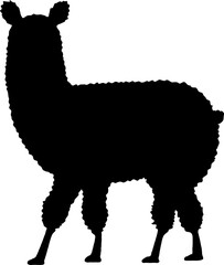 Fluffy alpaca or llama silhouette isolated on white background. Vector animal outline.