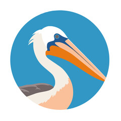 pelican bird flat illustration in circle motif