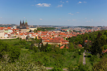 Fototapeta na wymiar Spring Prague City with gothic Castle and the colorful Nature with flowering Meadows from the Hill Petrin, Czech Republic