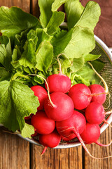 Colander with fresh radish on wooden background