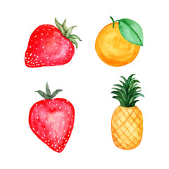 set of summer fruits