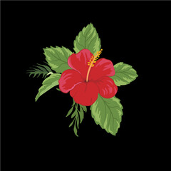 red flower hawaii on black background