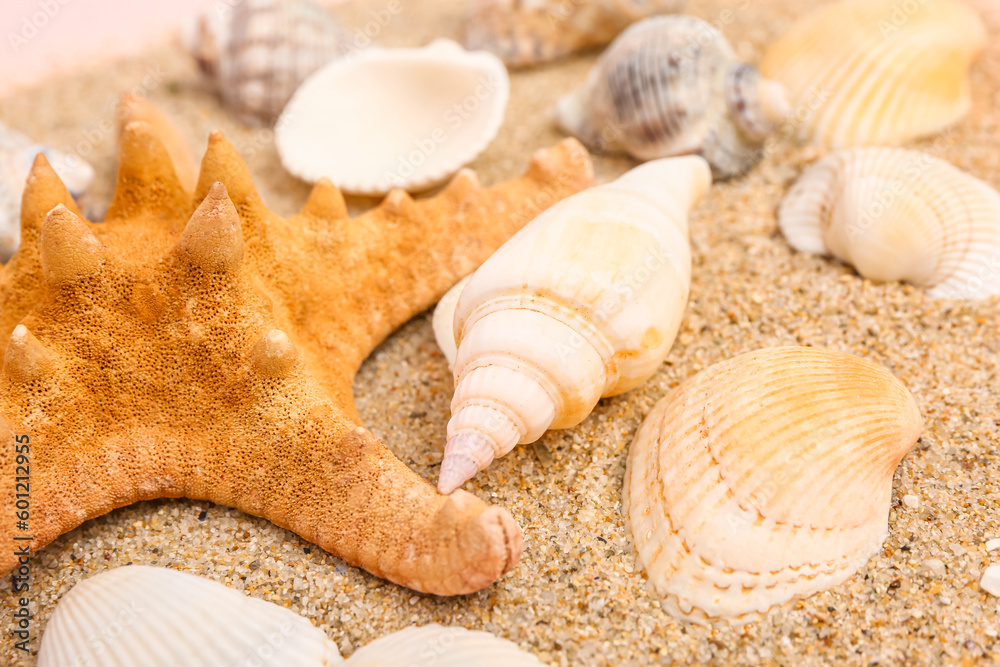 Wall mural Sand with seashells and starfishes on pink background