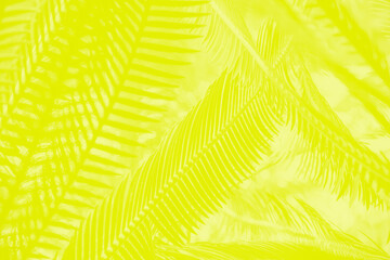Vivid yellow abstract background with palm leaves pattern