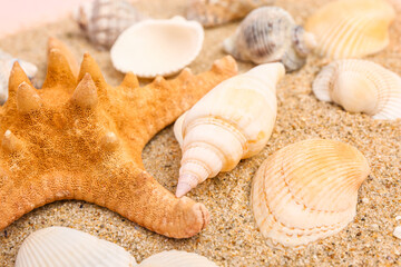 Sand with seashells and starfishes on pink background