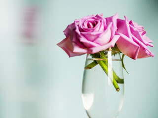 Pink rose bouquet with light distorting object, light blue background, selective focus. Decoration in a house concept. Light and airy look.