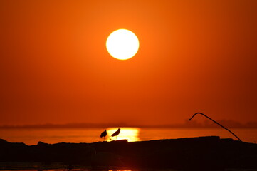 Atardecer
