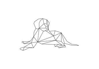 geometri dog