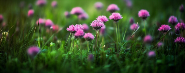 Obraz premium Flowers in a green grass on a sunny meadow. banner. AI generated content