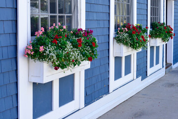 The exterior entrance to a shop with a bright red door and glass window. There are three windows in a row on the colorful blue cedar shake wall with white trim. The flower boxes have summer flowers.