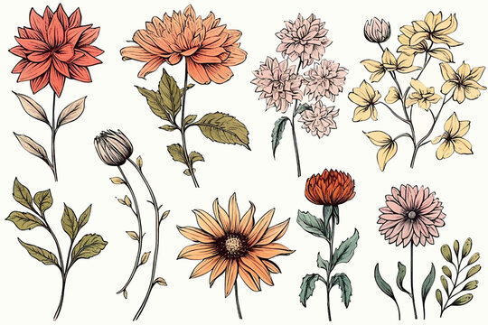 Floral set of hand drawn flowers. Botanical line art wallpaper with flowers, branches eaves. Pastel watercolor floral design for banner, prints, wall art and home decor, wedding invitation