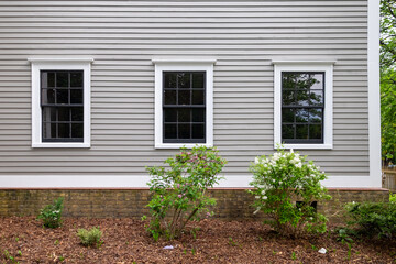 Fototapeta na wymiar Three vintage identical double hung windows with trees reflecting on a beige color exterior wall. The windows are dark green with white trim. There are two small green shrubs in front of the building.