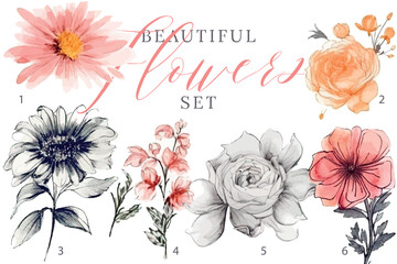 Floral set of hand drawn flowers. Botanical line art wallpaper with flowers, branches eaves. Pastel watercolor floral design for banner, prints, wall art and home decor, wedding invitation