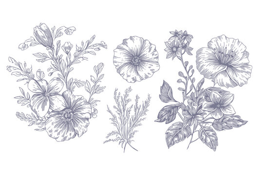 Floral set of hand drawn flowers. Botanical line art wallpaper with flowers, branches eaves. Pastel watercolor floral design for banner, prints, wall art and home decor, wedding invitation