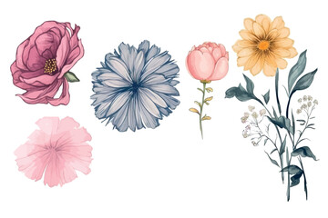 Floral set of hand drawn flowers. Botanical line art wallpaper with flowers, branches eaves. Pastel watercolor floral design for banner, prints, wall art and home decor, wedding invitation