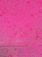 Complete fuchsia background of pink flowers that fell of the tree.
