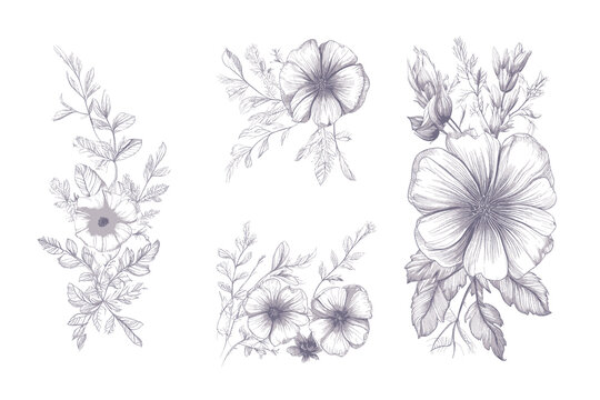 Floral set of hand drawn flowers. Botanical line art wallpaper with flowers, branches eaves. Pastel watercolor floral design for banner, prints, wall art and home decor, wedding invitation