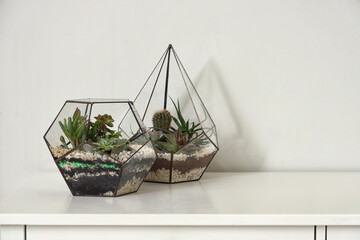 Florariums on table near light wall
