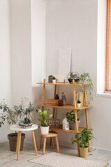 Interior of living room with florariums, plants and shelving unit