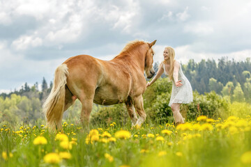 A young woman enjoying time with her haflinger horse in spring outdoors. Female equestrian friendship scene with her horse © Annabell Gsödl