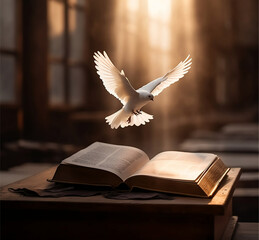 Fototapeta Dove flying over an open book at sunset stock photo. obraz