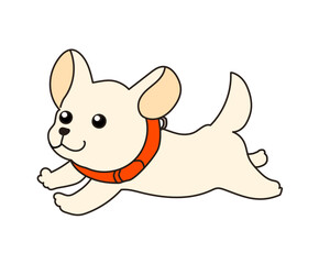 白い犬