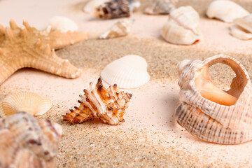 Fototapeta na wymiar Sand with seashells and starfishes on pale pink background