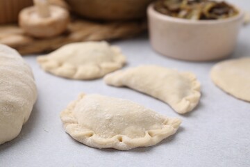 Fototapeta na wymiar Process of making dumplings (varenyky) with mushrooms. Raw dough and ingredients on white table, closeup
