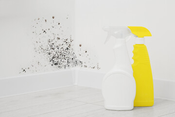 Mold remover spray bottles on floor near affected walls in room