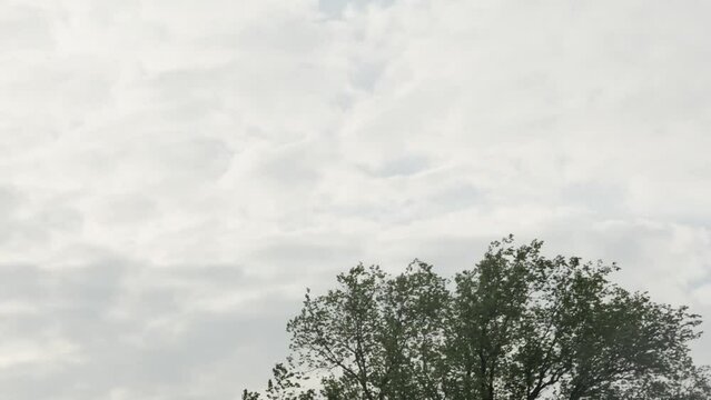 timelapse of the movement of beautiful morning clouds over a spring tree