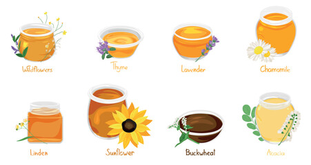 Collection of healthy honey on white background
