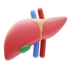 liver 3d icon