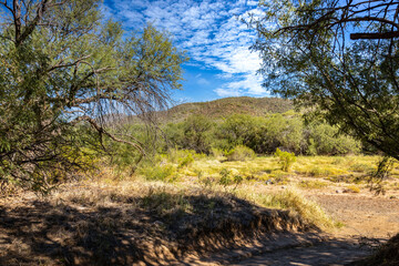 Desert Landscape with Mountains