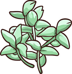 oregano png graphic clipart design