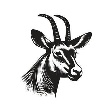 recommend clip art: waterbuck, vintage logo line art concept black and white color, hand drawn illustration