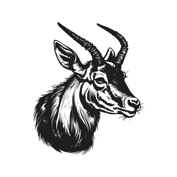 recommend clip art: waterbuck, vintage logo line art concept black and white color, hand drawn illustration