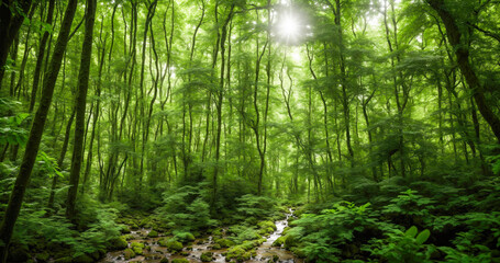 Fototapeta na wymiar Serene creek meandering through a dense and verdant forest, with sunlight filtering through the canopy and casting dappled shadows on the forest floor. Generative AI