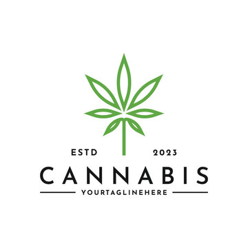 Hemp leaf with for cannabis cbd cultivation farm Logo design