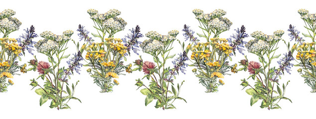 Seamless rim with bouquet watercolor yarrow and lungwort and clover isolated on white background. Flower tansy for wedding invite. Summer or spring border for frame or wrapping. Hand-drawn art
