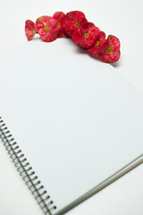 White blank notebook and a red Crown of Thorns flower (Euphorbia milii) background. Vertical