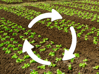 A regenerate icon in front of a farm. Regenerative agriculture concept.