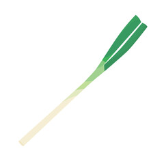 Vector illustration of green onion.