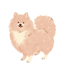 Hand Drawn Cute Sweet Dog Puppy Breed Isolated on White