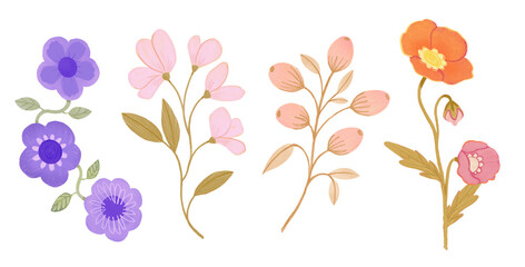 Set of pink purple orange flowers leaves on white background isolated. Sweet buds lillies daisies poppies