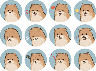 ポメラニアンの表情アイコンセット（オレンジ）