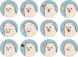 ポメラニアンの表情アイコンセット（白）
