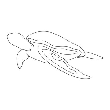 recommend clip art: Turtle icon design